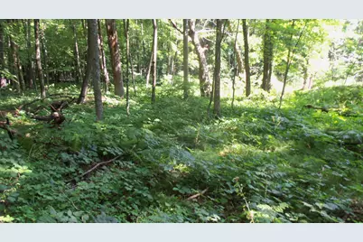 Lot 2 Howard Johnson Trl, Siren, WI 54872 - Photo 6