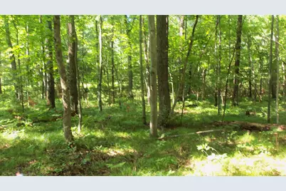 Lot 4 Howard Johnson Trl, Siren, WI 54872 - Photo 4