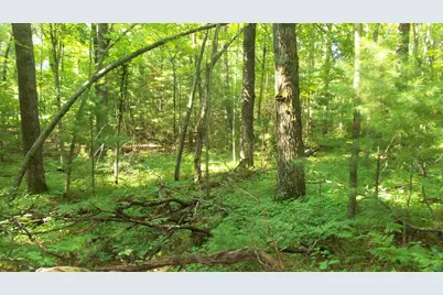 Lot 4 Howard Johnson Trl, Siren, WI 54872 - Photo 6