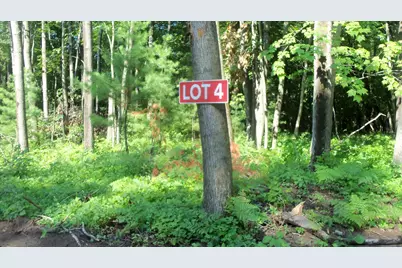 Lot 4 Howard Johnson Trl, Siren, WI 54872 - Photo 2