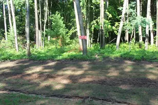 Lot 4 Howard Johnson Trail, Siren, WI 54872 - Photo 1