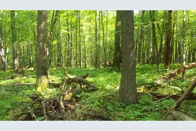 Lot 6 Howard Johnson Trl, Siren, WI 54872 - Photo 6