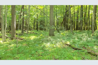 Lot 6 Howard Johnson Trl, Siren, WI 54872 - Photo 4