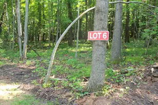 Lot 6 Howard Johnson Trail, Siren, WI 54872 - Photo 1