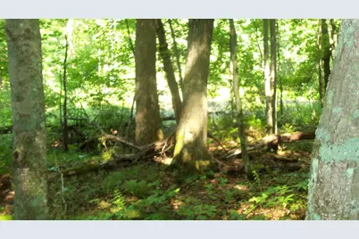 Lot 6 Howard Johnson Trl, Siren, WI 54872 - Photo 8
