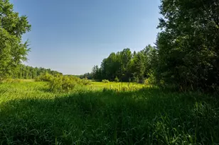 39794 259th Ave, Menahga, MN 56464 - Photo 76