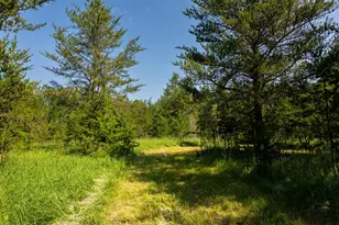 39794 259th Ave, Menahga, MN 56464 - Photo 64