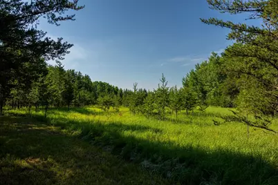 39794 259th Avenue, Menahga, MN 56464 - Photo 84