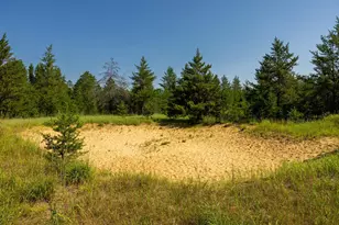 39794 259th Ave, Menahga, MN 56464 - Photo 52