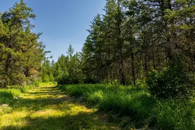 39794 259th Avenue, Menahga, MN 56464 - Photo 68
