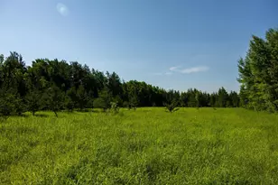39794 259th Ave, Menahga, MN 56464 - Photo 92