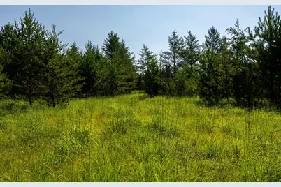 39794 259th Avenue, Menahga, MN 56464 - Photo 78