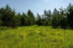 39794 259th Ave, Menahga, MN 56464 - Photo 78