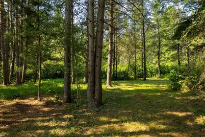 39794 259th Avenue, Menahga, MN 56464 - Photo 72