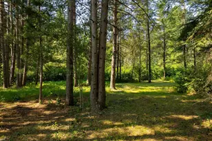 39794 259th Ave, Menahga, MN 56464 - Photo 72