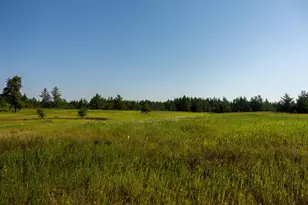39794 259th Ave, Menahga, MN 56464 - Photo 48