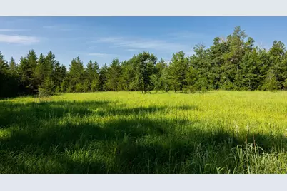 39794 259th Avenue, Menahga, MN 56464 - Photo 86