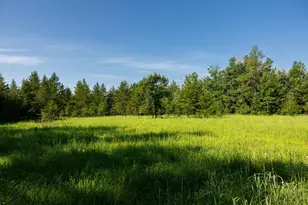 39794 259th Ave, Menahga, MN 56464 - Photo 86