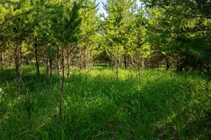 39794 259th Ave, Menahga, MN 56464 - Photo 94