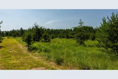 39794 259th Avenue, Menahga, MN 56464 - Photo 66