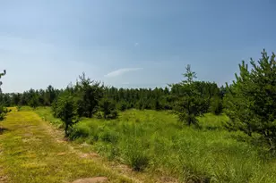 39794 259th Ave, Menahga, MN 56464 - Photo 66