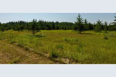 39794 259th Avenue, Menahga, MN 56464 - Photo 54