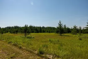 39794 259th Ave, Menahga, MN 56464 - Photo 54