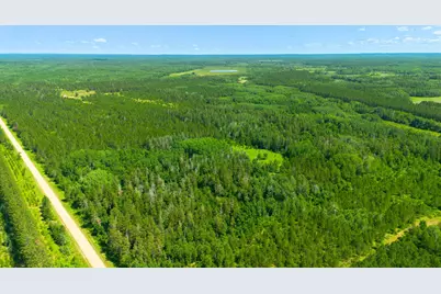 Tract 3 - Tbd 259th Ave, Menahga, MN 56464 - Photo 1