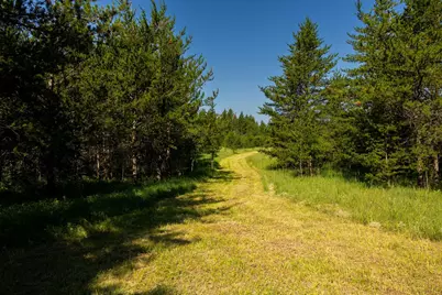 Tract 3 - Tbd 259th Ave, Menahga, MN 56464 - Photo 28