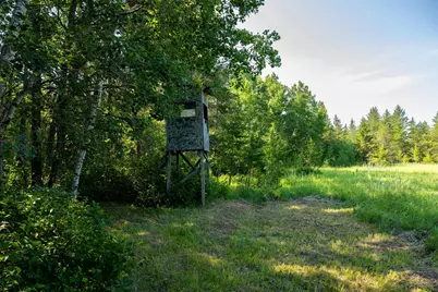 Tract 3 - Tbd 259th Ave, Menahga, MN 56464 - Photo 16
