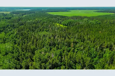 Tract 3 - Tbd 259th Ave, Menahga, MN 56464 - Photo 4