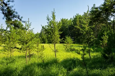 Tract 3 - Tbd 259th Ave, Menahga, MN 56464 - Photo 20