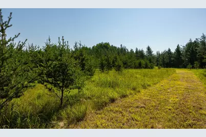 Tract 3 - Tbd 259th Ave, Menahga, MN 56464 - Photo 24