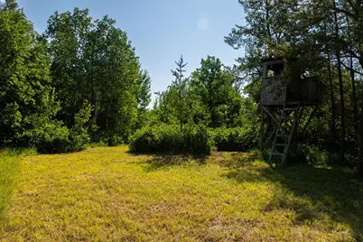 Tract 3 - Tbd 259th Ave, Menahga, MN 56464 - Photo 26