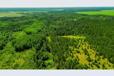Tract 3 - Tbd 259th Ave, Menahga, MN 56464 - Photo 6