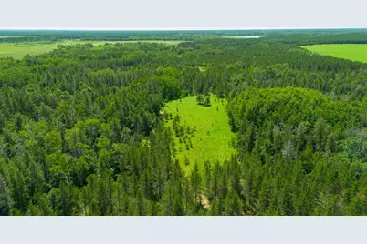Tract 3 - Tbd 259th Ave, Menahga, MN 56464 - Photo 12