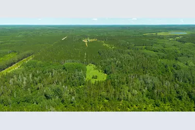 Tract 3 - Tbd 259th Ave, Menahga, MN 56464 - Photo 2