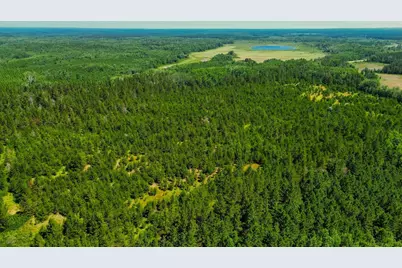 Tract 1 - Tbd Hubbard Line Rd, Menahga, MN 56464 - Photo 8