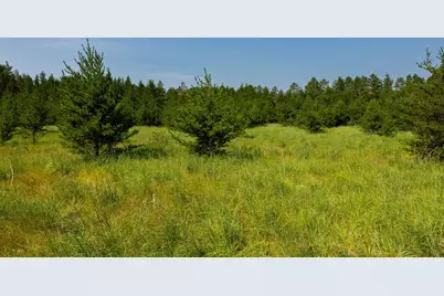 Tract 1 - Tbd Hubbard Line Rd, Menahga, MN 56464 - Photo 36