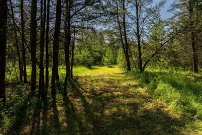 Tract 1 - Tbd Hubbard Line Rd, Menahga, MN 56464 - Photo 42
