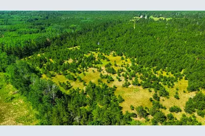 Tract 1 - Tbd Hubbard Line Rd, Menahga, MN 56464 - Photo 6