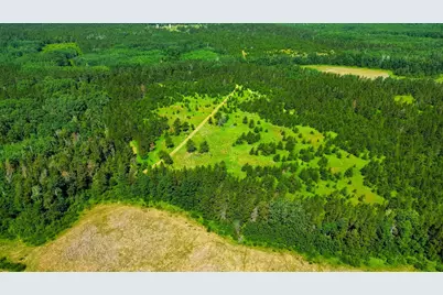 Tract 1 - Tbd Hubbard Line Rd, Menahga, MN 56464 - Photo 12