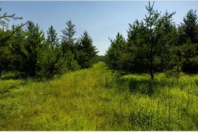 Tract 1 - Tbd Hubbard Line Rd, Menahga, MN 56464 - Photo 44