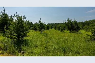 Tract 1 - Tbd Hubbard Line Rd, Menahga, MN 56464 - Photo 50