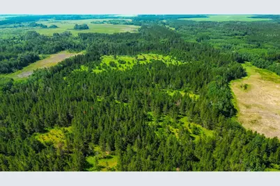 Tract 1 - Tbd Hubbard Line Rd, Menahga, MN 56464 - Photo 2