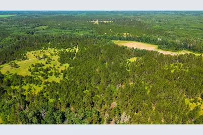 Tract 1 - Tbd Hubbard Line Rd, Menahga, MN 56464 - Photo 10
