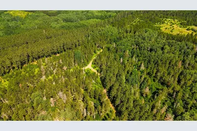Tract 1 - Tbd Hubbard Line Rd, Menahga, MN 56464 - Photo 22
