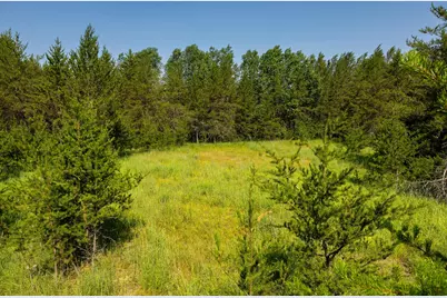 Tract 1 - Tbd Hubbard Line Rd, Menahga, MN 56464 - Photo 34