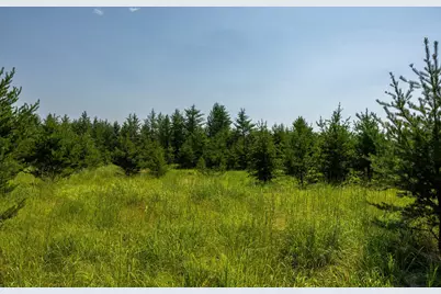 Tract 1 - Tbd Hubbard Line Rd, Menahga, MN 56464 - Photo 48