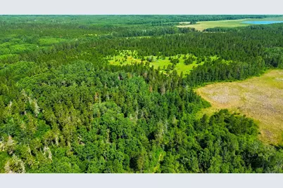 Tract 1 - Tbd Hubbard Line Rd, Menahga, MN 56464 - Photo 14